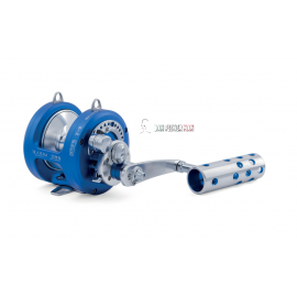 TICA TEAM ST16 N TUNA