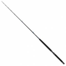 Daiwa SeaLine 25 50 lbs