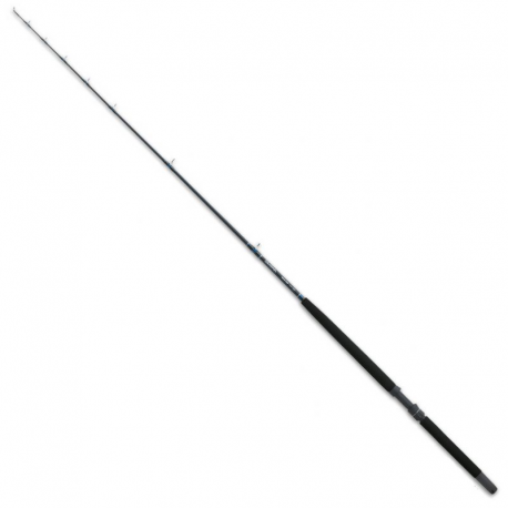 Daiwa SeaLine 25 50 lbs
