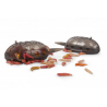 Swivel Grub Feeders Standard 60g