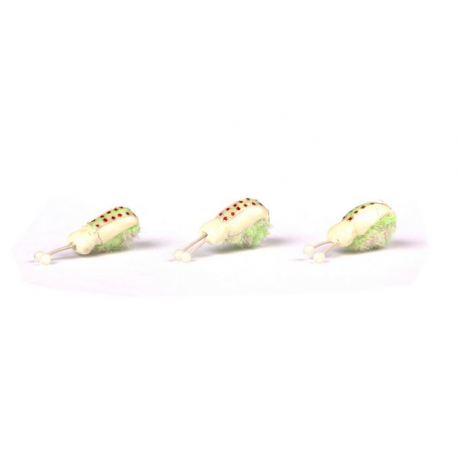Nash Zig Bugs