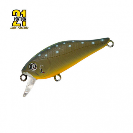 Pontoon 21 Cheerful 34 F - SR