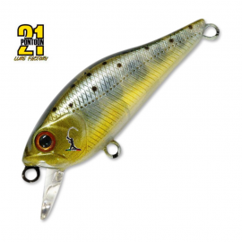 Pontoon 21 Cheerful 34 F - SR