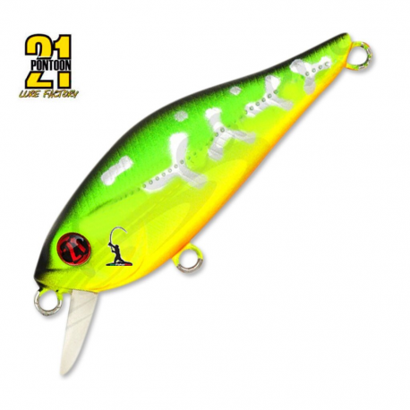 Pontoon 21 Cheerful 34 F - SR