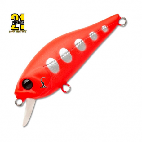 Pontoon 21 Cheerful 34 F - SR