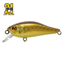 Pontoon 21 Cheerful 40 SP - MR