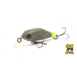Pontoon 21 Cheerful 40 SP - SR