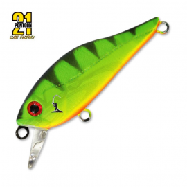 Pontoon 21 Cheerful 40 SP - MR