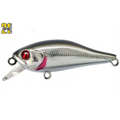 Pontoon 21 Cheerful 40 SP - MR