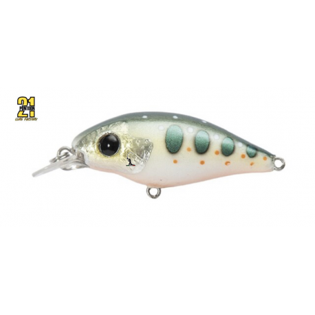 Pontoon 21 Gem 34F SR