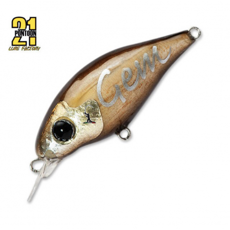 Pontoon 21 Gem 34F SR