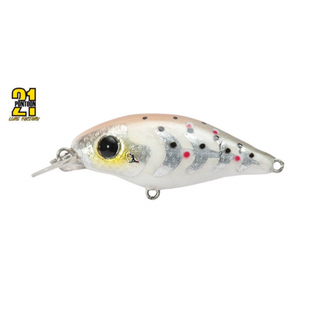 Pontoon 21 Gem 34F SR