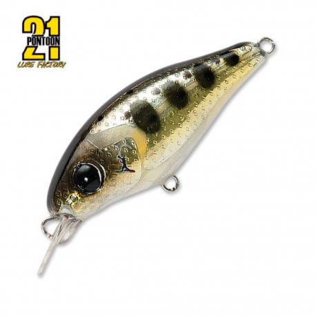 Pontoon 21 Gem 34F SR