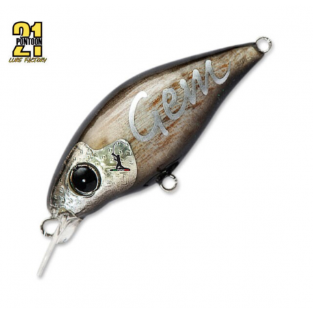 Pontoon 21 Gem 40F SR