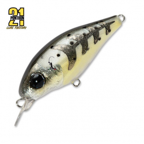 Pontoon 21 Gem 40F SR