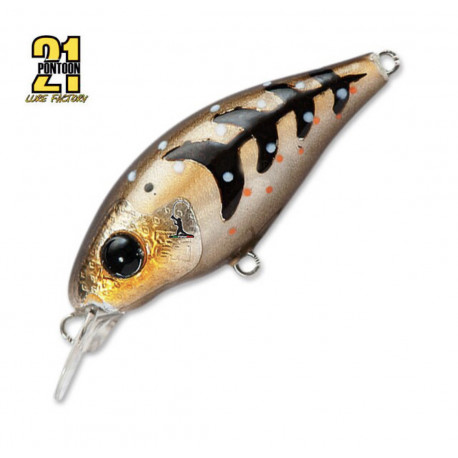 Pontoon 21 Gem 40F SR