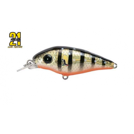 Pontoon 21 Gem 40F SR