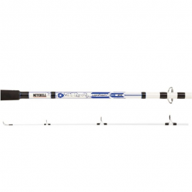 Mitchell Neuron Boat