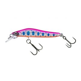 JerkBait e Minnow